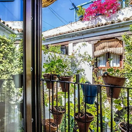 Con Patio Cordobés En San Basilio&parking