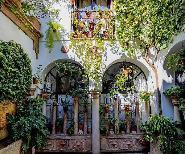 Daire Con Patio Cordobes En San Basilio & Parking