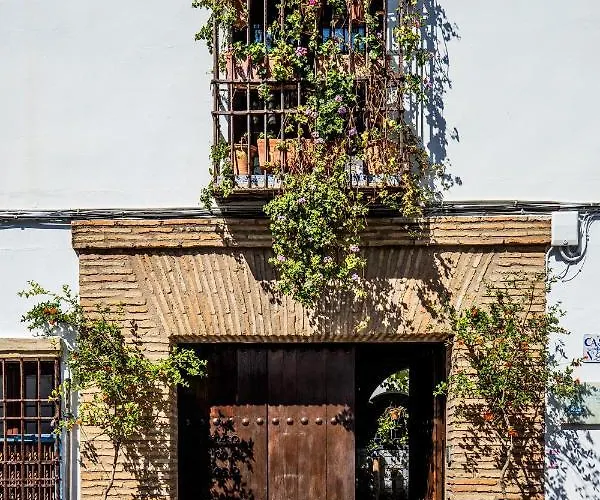 Con Patio Cordobes En San Basilio & Parking * Cordoba