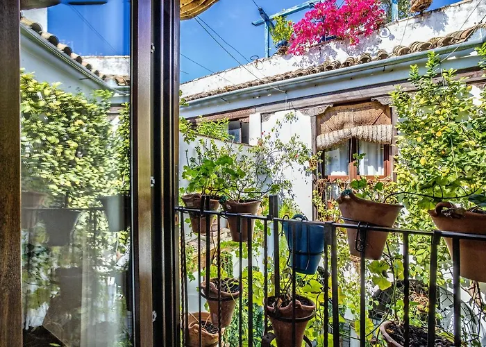 Con Patio Cordobes En San Basilio & Parking