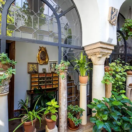 Con Patio Cordobes En San Basilio & Parking * Córdoba