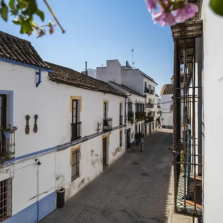 Con Patio Cordobes En San Basilio & Parking * 科爾多瓦