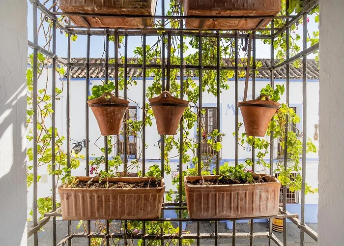 Apartmán Con Patio Cordobes En San Basilio & Parking *