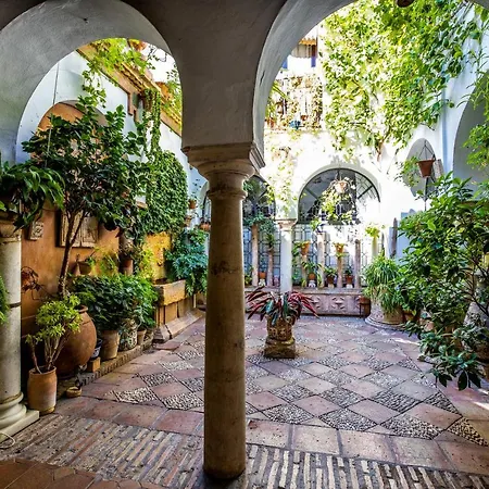 Apartamento Con Patio Cordobés En San Basilio&parking *