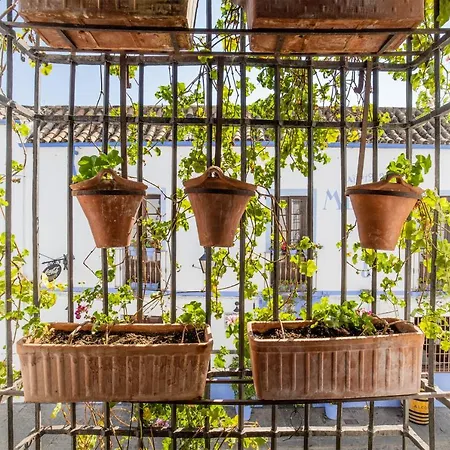 Apartamento Con Patio Cordobés En San Basilio&parking *